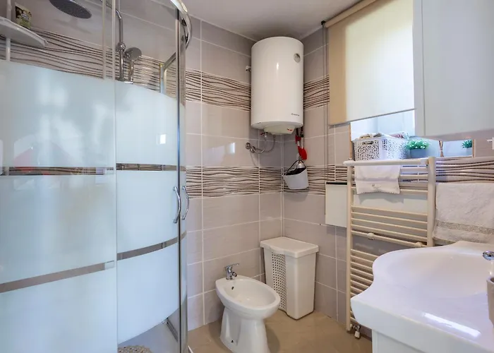 Cadjo With Pool - Happy