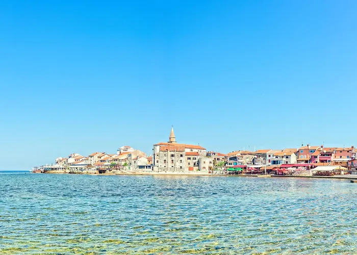 Cadjo With Pool - Happy *